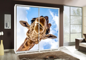 Szafa PENGRAF 205 z grafiką ŻYRAFA 1