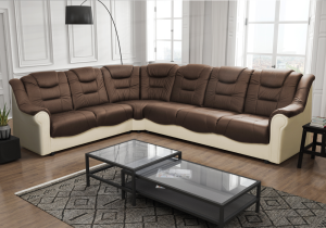 Narożnik RAKOL 2_3.png