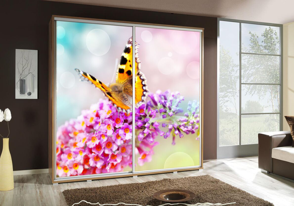 Szafa_przesuwna_PENGRAF_205_MOTYL1.png