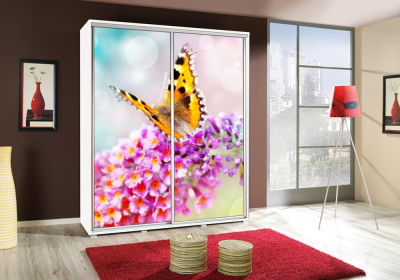Szafa PENGRAF 155 z grafiką MOTYL 2